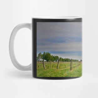 Spring Landscape Near Cividale del Friuli Mug